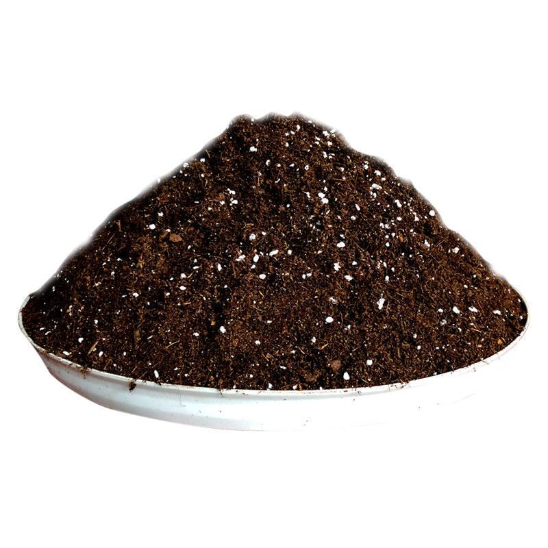 栽草莓苗专用基质土