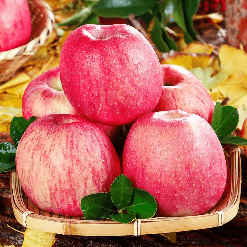 当季新鲜水果红富士5斤当季苹果香甜可口肉厚多汁电商盒发货