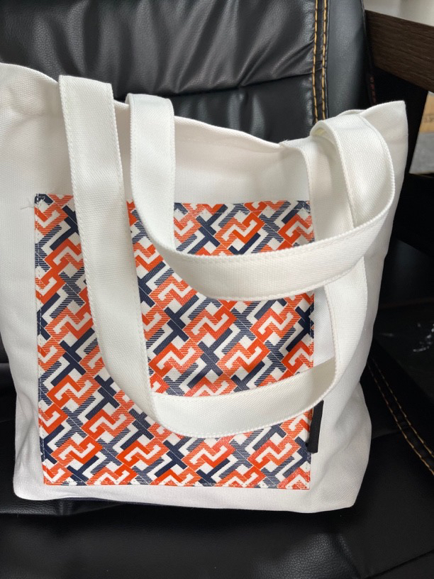 女士帆布包手提包（可以丫）