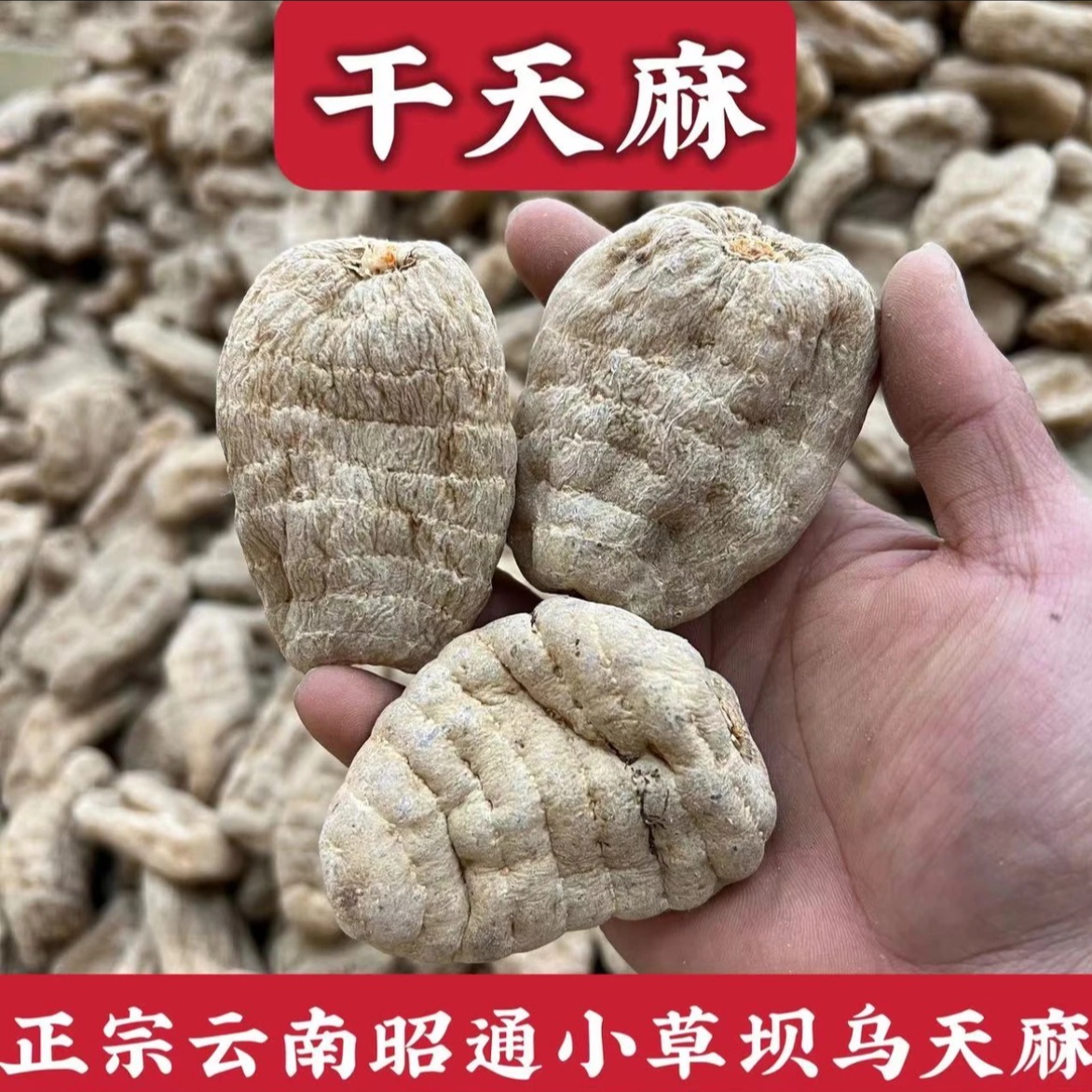 《干天麻》正宗云南小草坝高山乌天麻/不打蜡/不熏硫/自然晒干