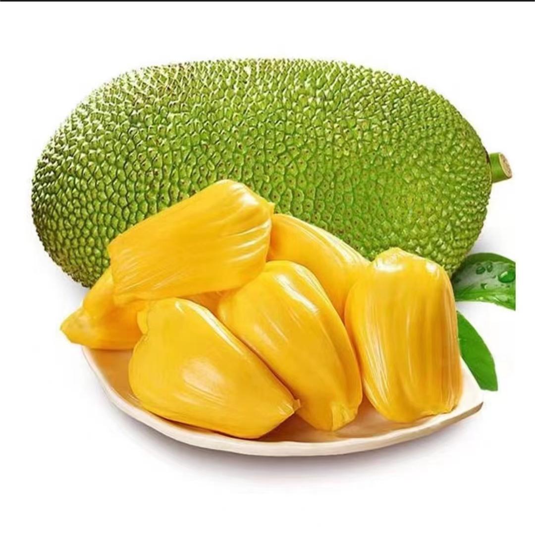越南红肉波罗蜜8-9斤（果肉黄色的）