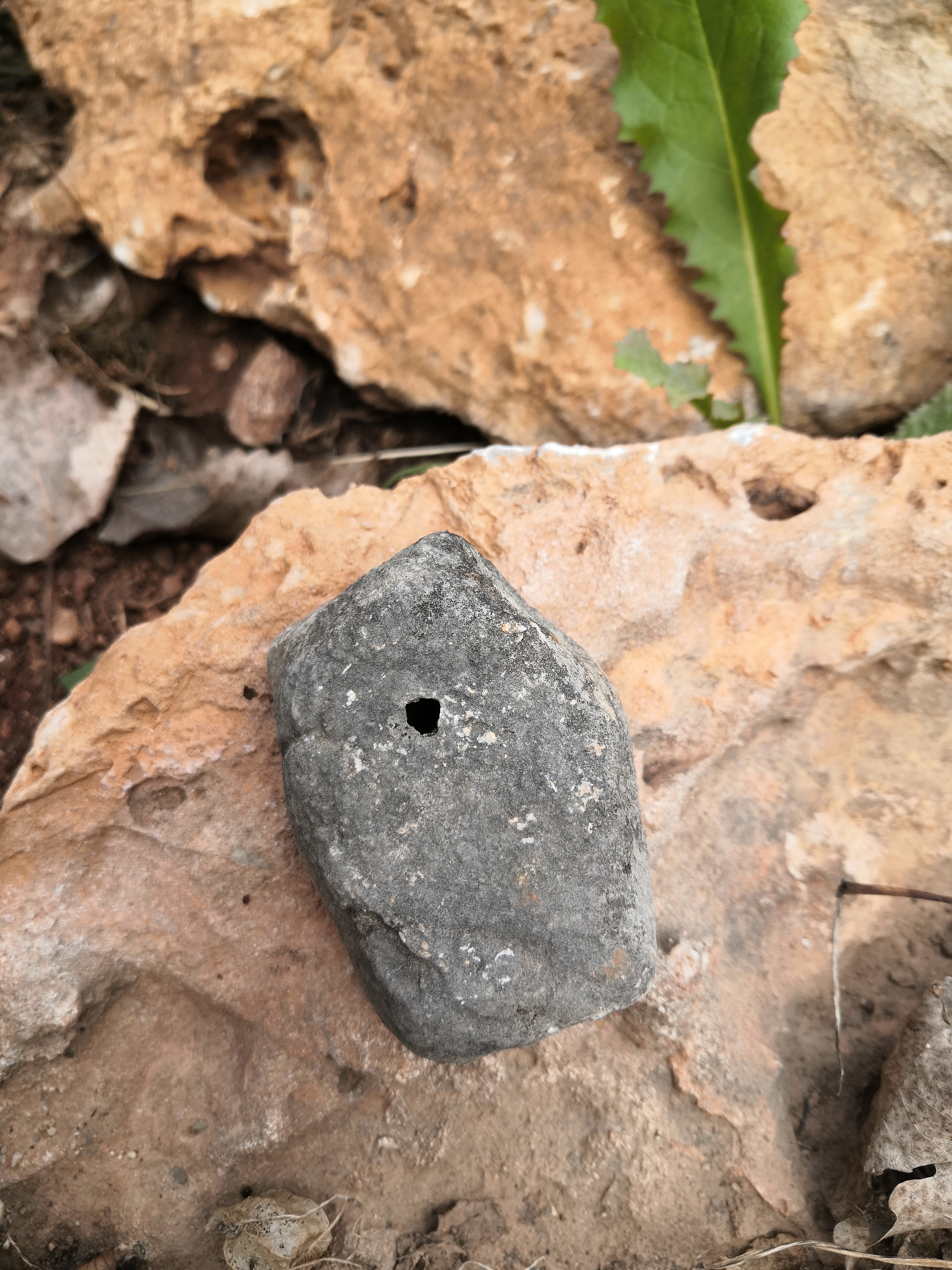 天然石盆、微景观、景观石