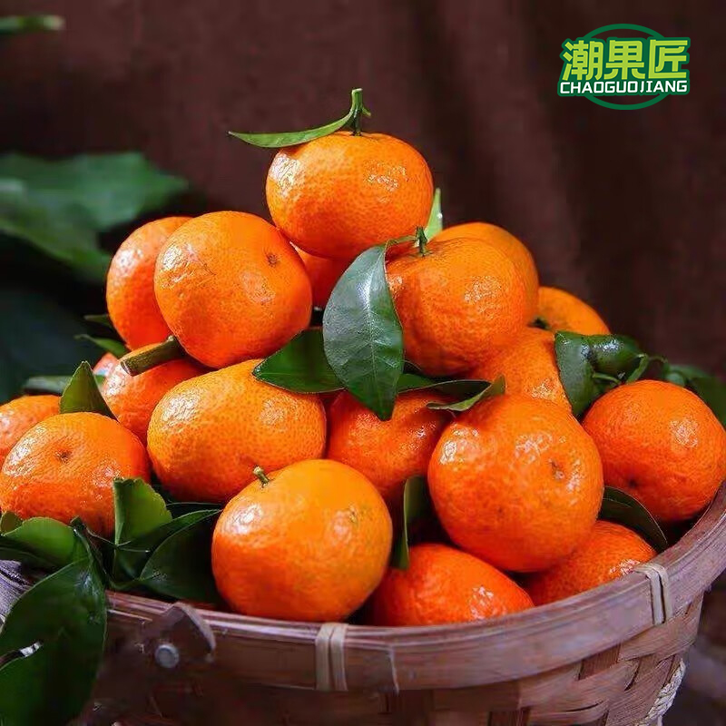 潮果匠砂糖桔 500g