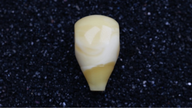 12.3mm蜜蜡白花蜡特色西施壶嘴三通（适合7左右的108