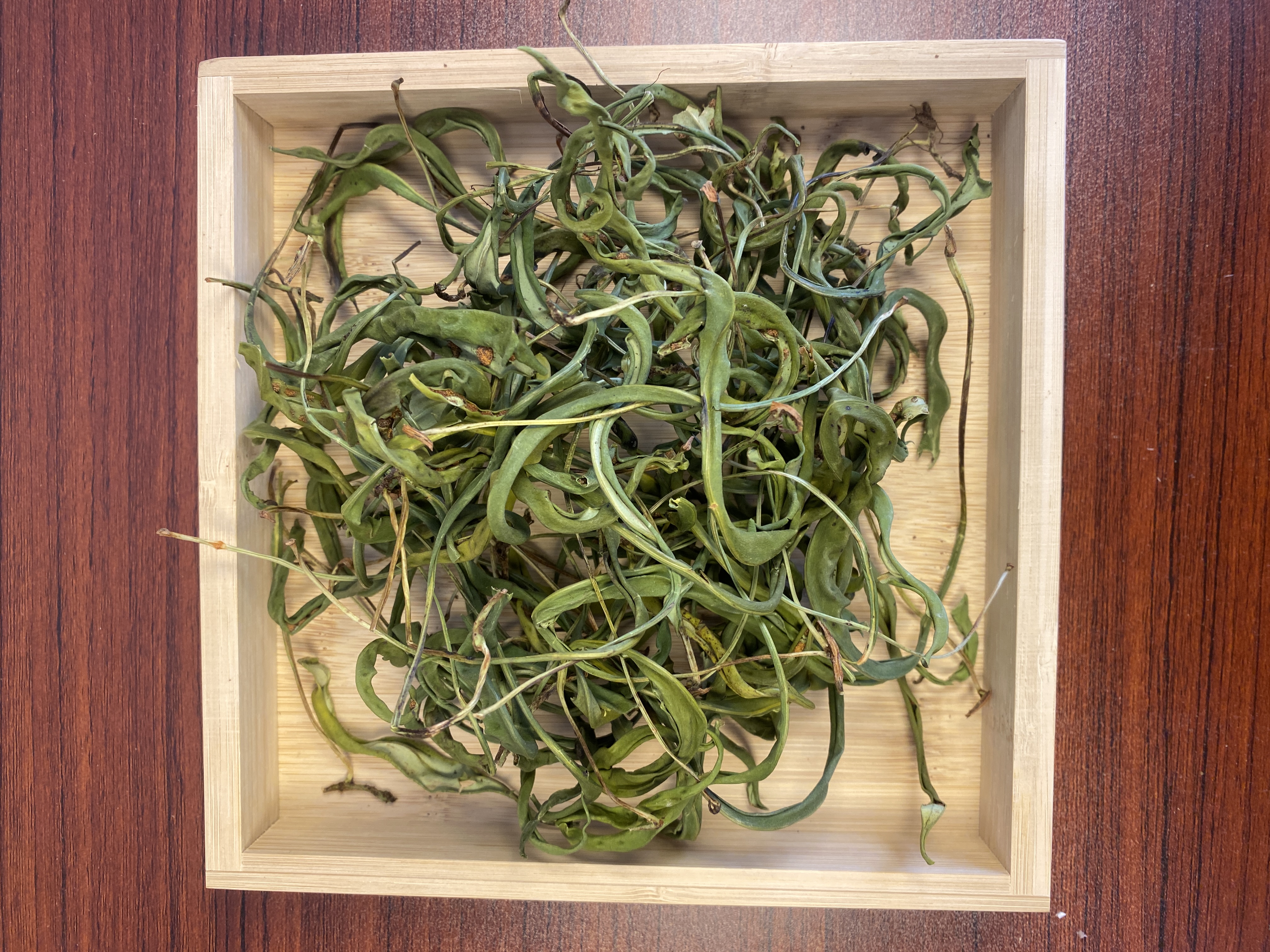 淼盛养生滋补嗷嗷叫化石草石韦草肾精茶50g/500g实物拍摄无滤镜