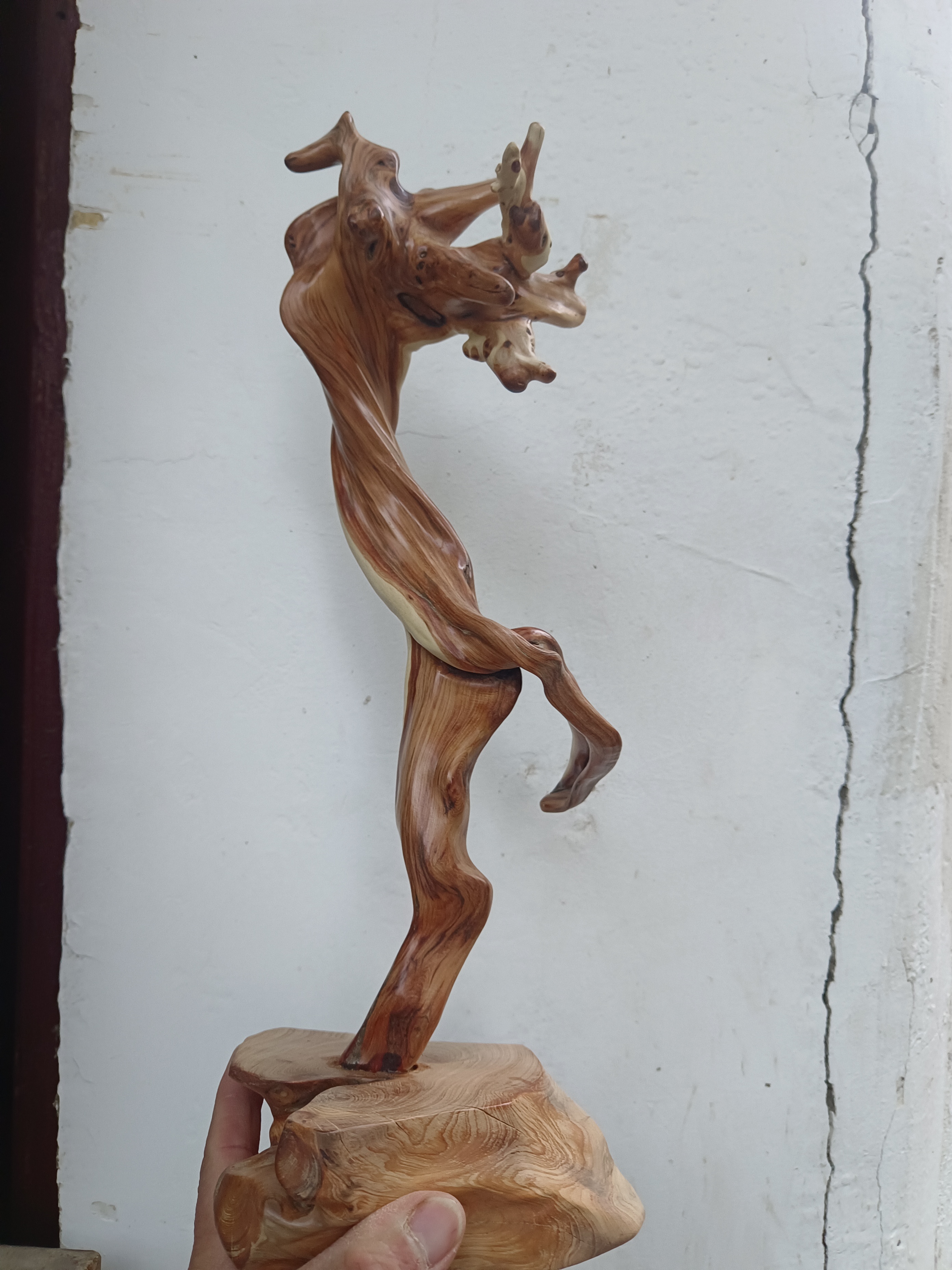 太行悬崖柏木双色扭曲根雕