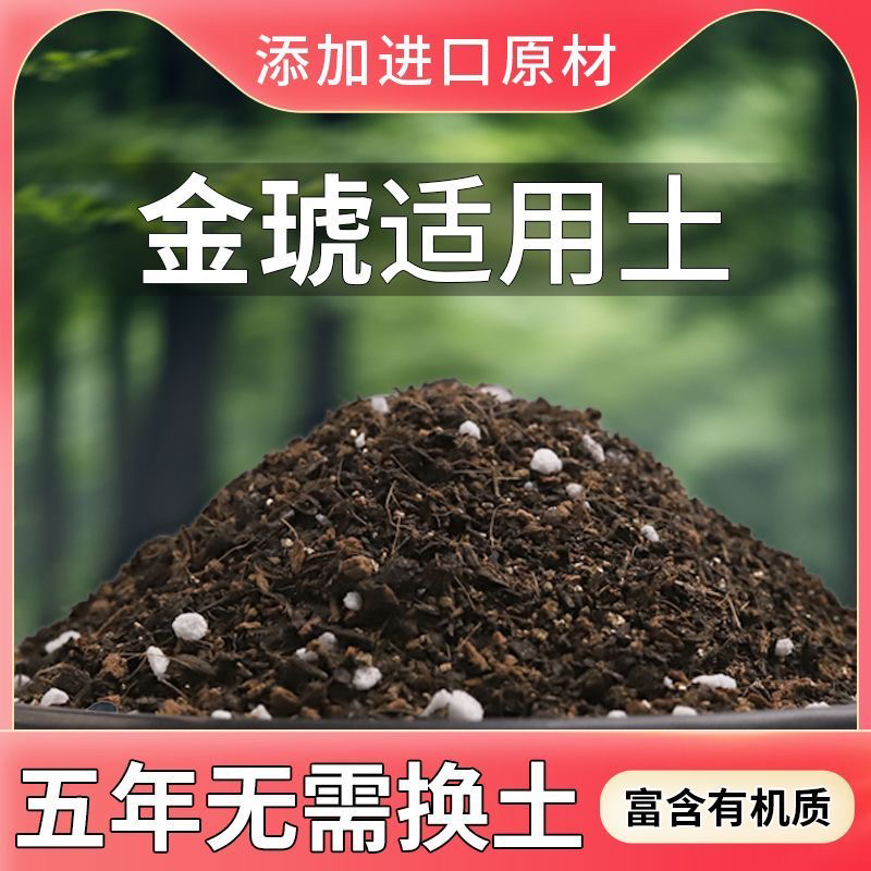 【金琥专用土】疏松透气盆栽绿植多肉植物营养土沙土田园土配方土质