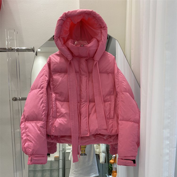 轻薄外套百搭连帽冬季女士新款羽绒服白鸭绒时尚防寒休闲加厚带帽