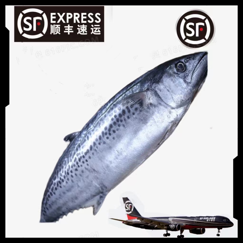 【马鲛鱼】惠来神泉本港马鲛鱼切块装【5盒】1斤净重8两 顺丰冷链包邮