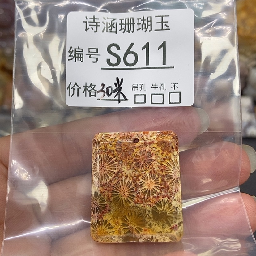 【闪购商品】硅化珊瑚（珊瑚玉）颈饰未镶嵌༺****༻S611