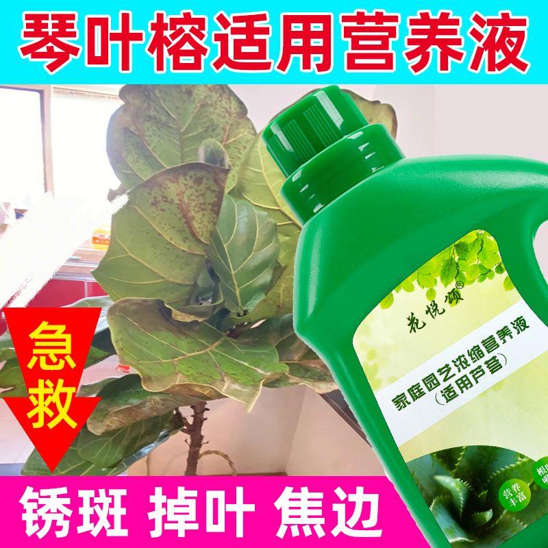 【拍一发三】琴叶榕营养液通用型促生根治黄叶室内盆栽绿植专用肥