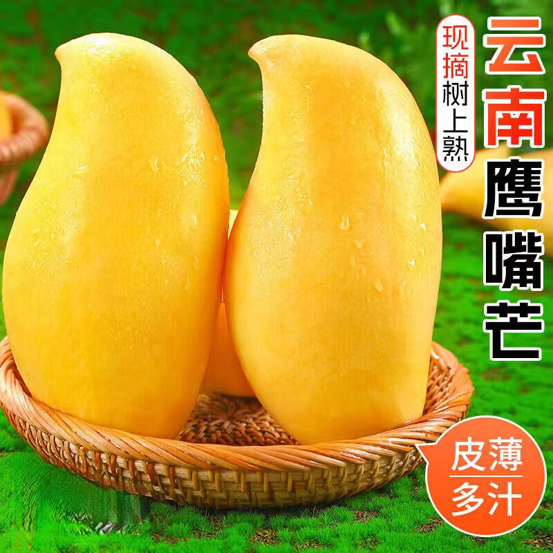 19云南保山潞江坝鹰嘴芒现摘现发新鲜采摘食用皮薄树上多汁快递收