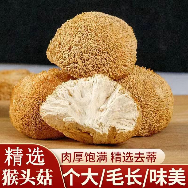【助农】头茬猴头菇干货新货食用菌香菇蘑菇菌菇煲汤古田农家无硫熏