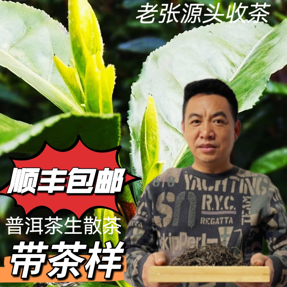 茶农308号2023年曼糯大树生茶 100g散茶 带茶样 树龄200多年