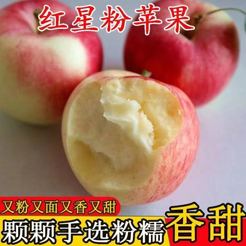 苹果好吃的很好吃