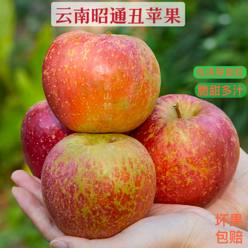 正宗云南昭通甜蜜苹果脆甜多汁现摘丑苹果新鲜营养红富士新鲜水果
