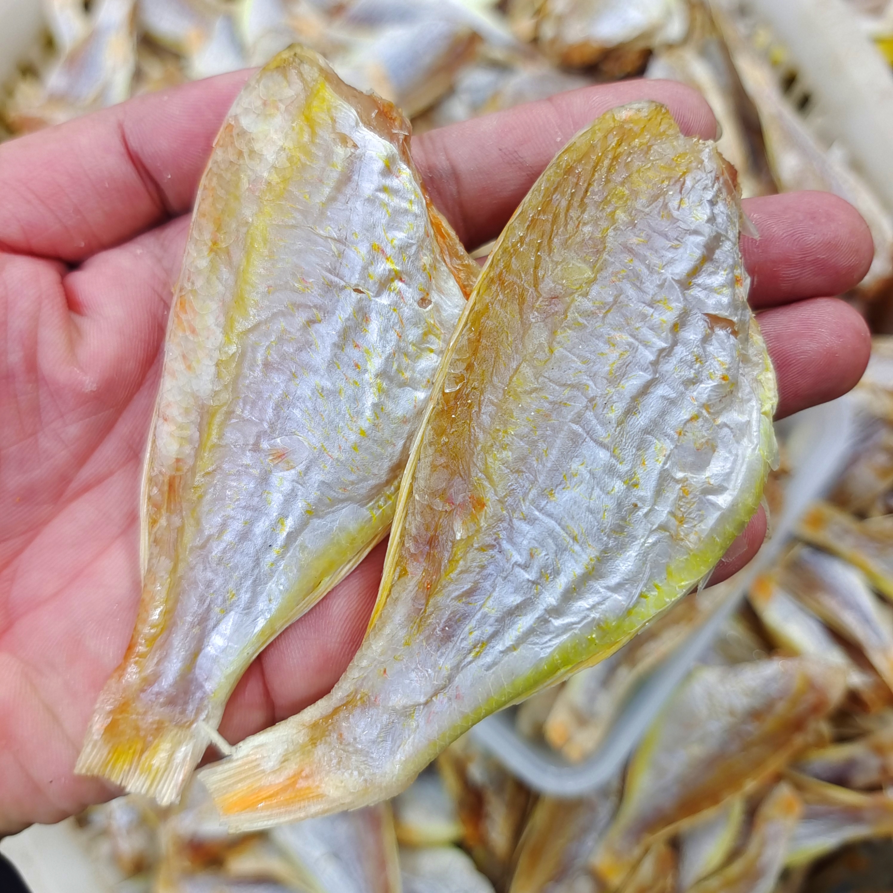 【马鲛仔海产】本港红三鱼咸鱼干1斤（15-20条）顺丰包邮博贺港