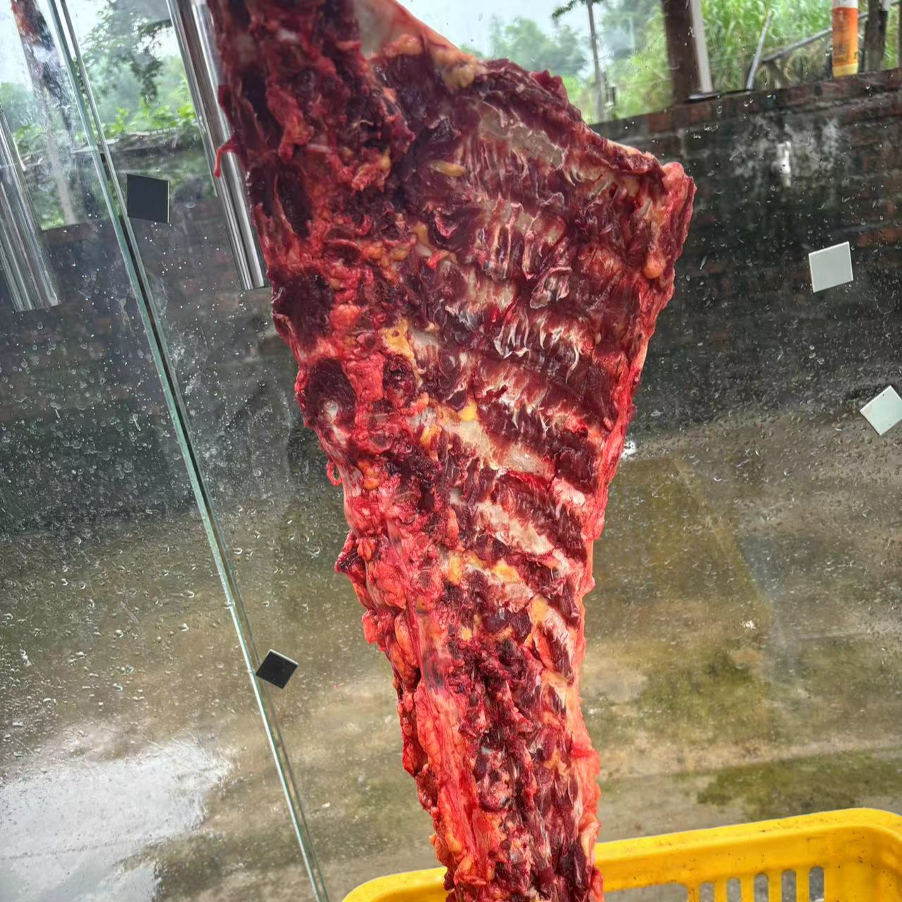 （牛骨头）砍好一块一块顺丰包邮发货