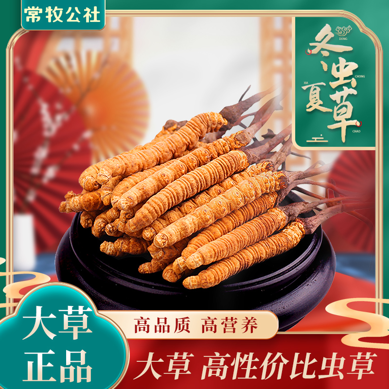 【扎西家】2025冬虫夏草 精品小草 滋补养生头茬足干