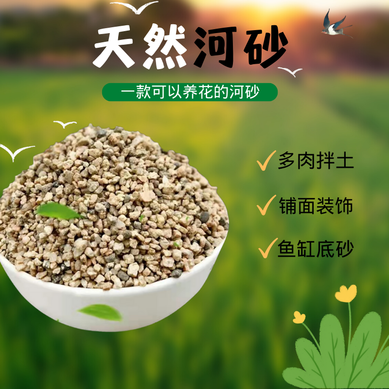 粗细河沙种植养花用拌土天然黄沙铺面中石子乌龟冬眠孵蛋鱼缸底砂
