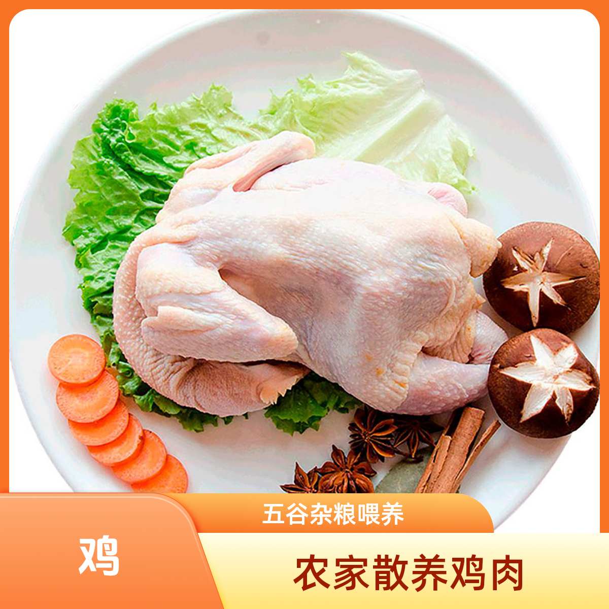 土母鸡肉农家散养鸡肉12月 21号