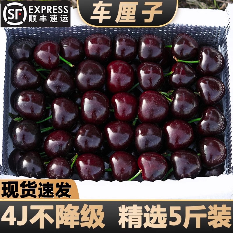 【顺丰空运】智利进口车厘子1-5斤装1J-4J级大樱桃新鲜水果肉厚多汁
