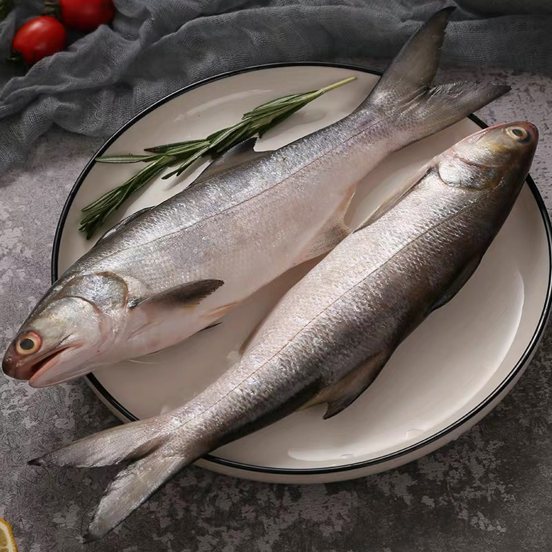 马友鱼3斤/5斤  闽南午鱼刺身级养殖海鲜东山岛午笋章跳 新鲜发货