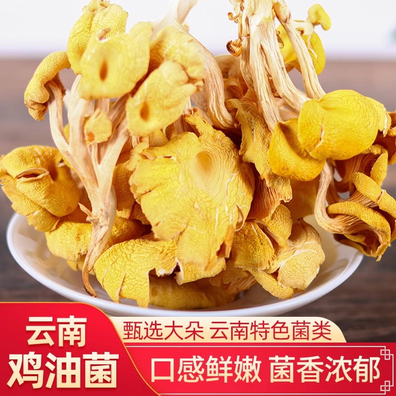 禾菇娘【鸡油菌】新鲜无硫干货黄金菇炖鸡汤鲜美榆黄菇鲜香菌类干货