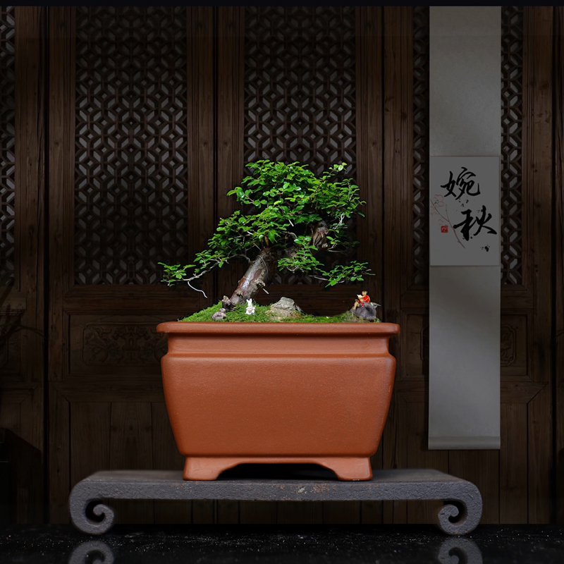 紫砂花盆陶瓷盆景盆四方盆中号纯紫泥简约桌面盆栽正方形花盆