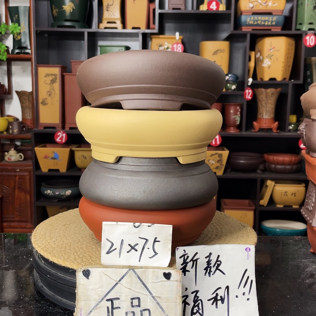 紫砂20CM（含）-50CM（不含）