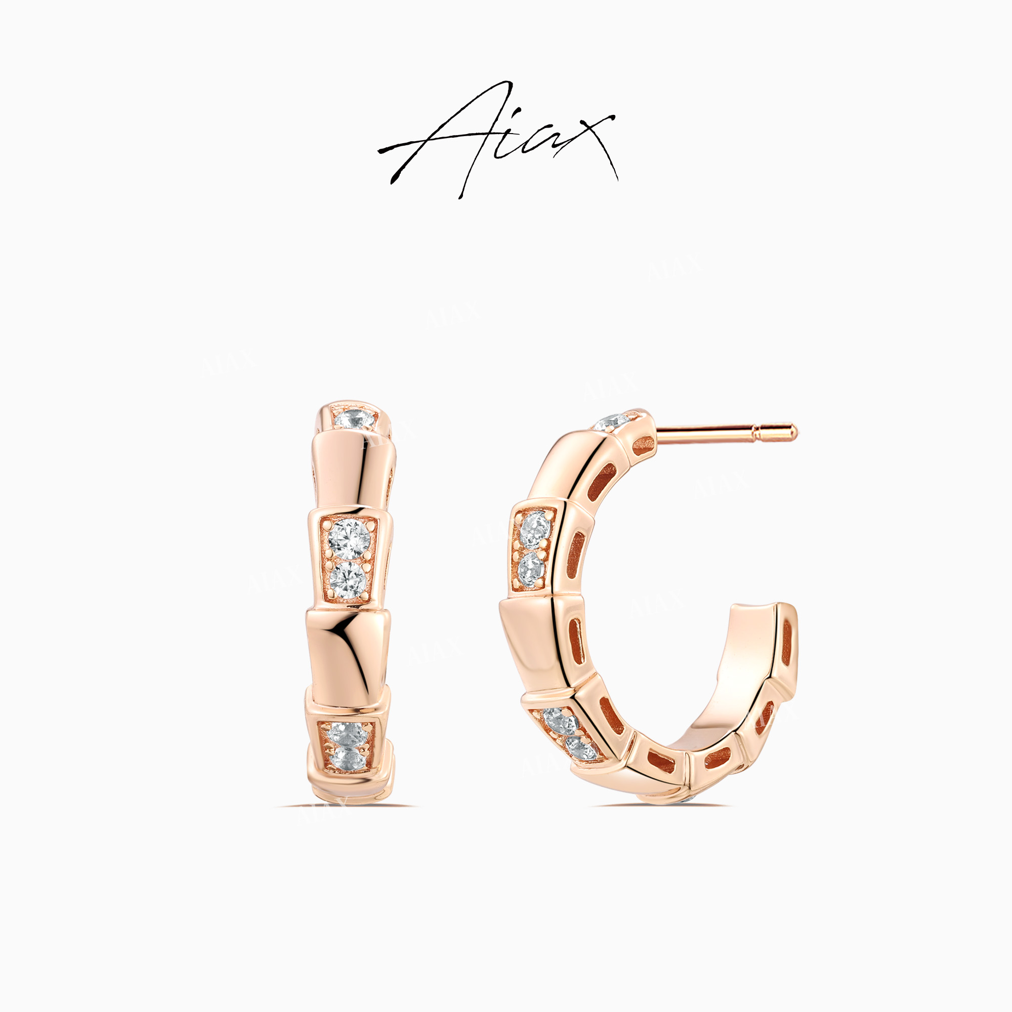 AIAX 出游季 【蛇年生肖】简约经典精致奢华圈圈耳环TSL1287