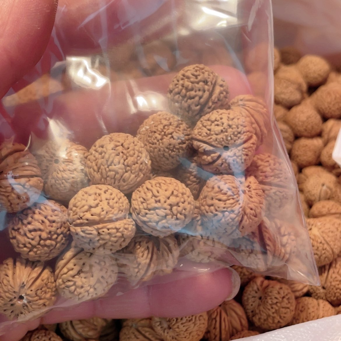 【闪购商品】桃核吊坠