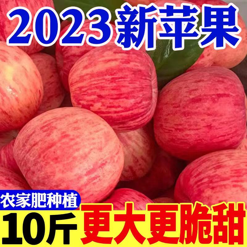 【现货现发】正宗山东烟台栖霞红富士苹果应季水果新鲜现摘带箱甜