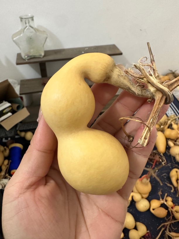 文玩葫芦（直播间专拍链接）
