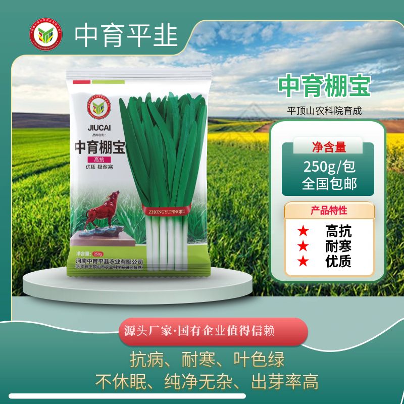 中育棚宝韭菜种子