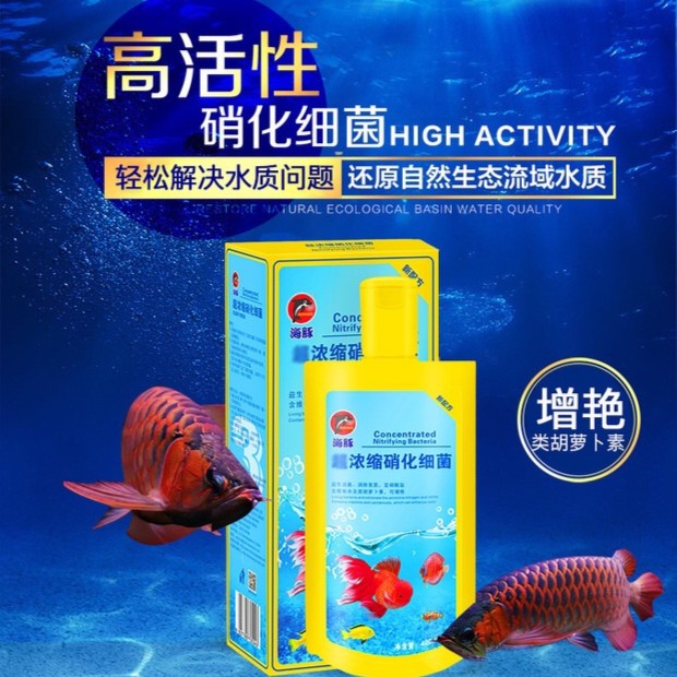 海豚 超浓缩硝化细菌水质维护