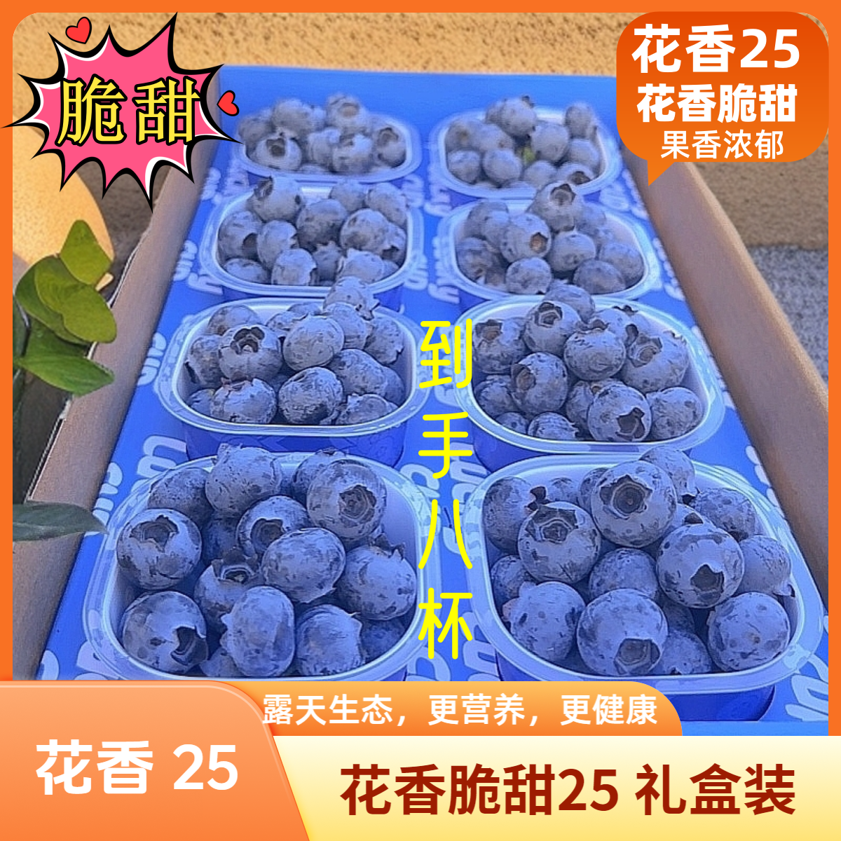 【莓小蓝】印象庄园花香蓝莓小懒杯礼盒云南抚仙湖生态蓝莓新鲜现摘商品图
