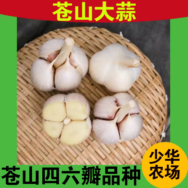 【干蒜】苍山大蒜纯四瓣蒜头/3斤/5斤/装