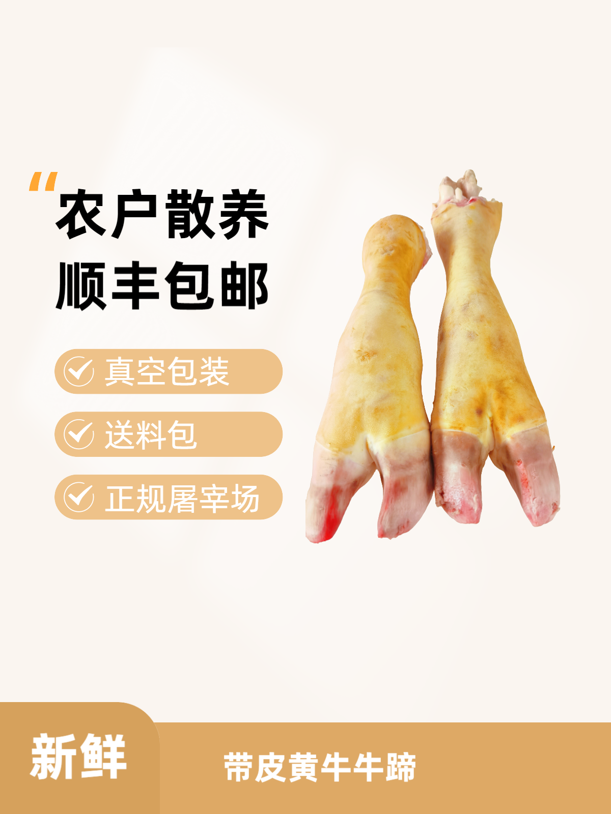 新鲜黄牛蹄带筋带骨髓整根可切块农家散养牛蹄子