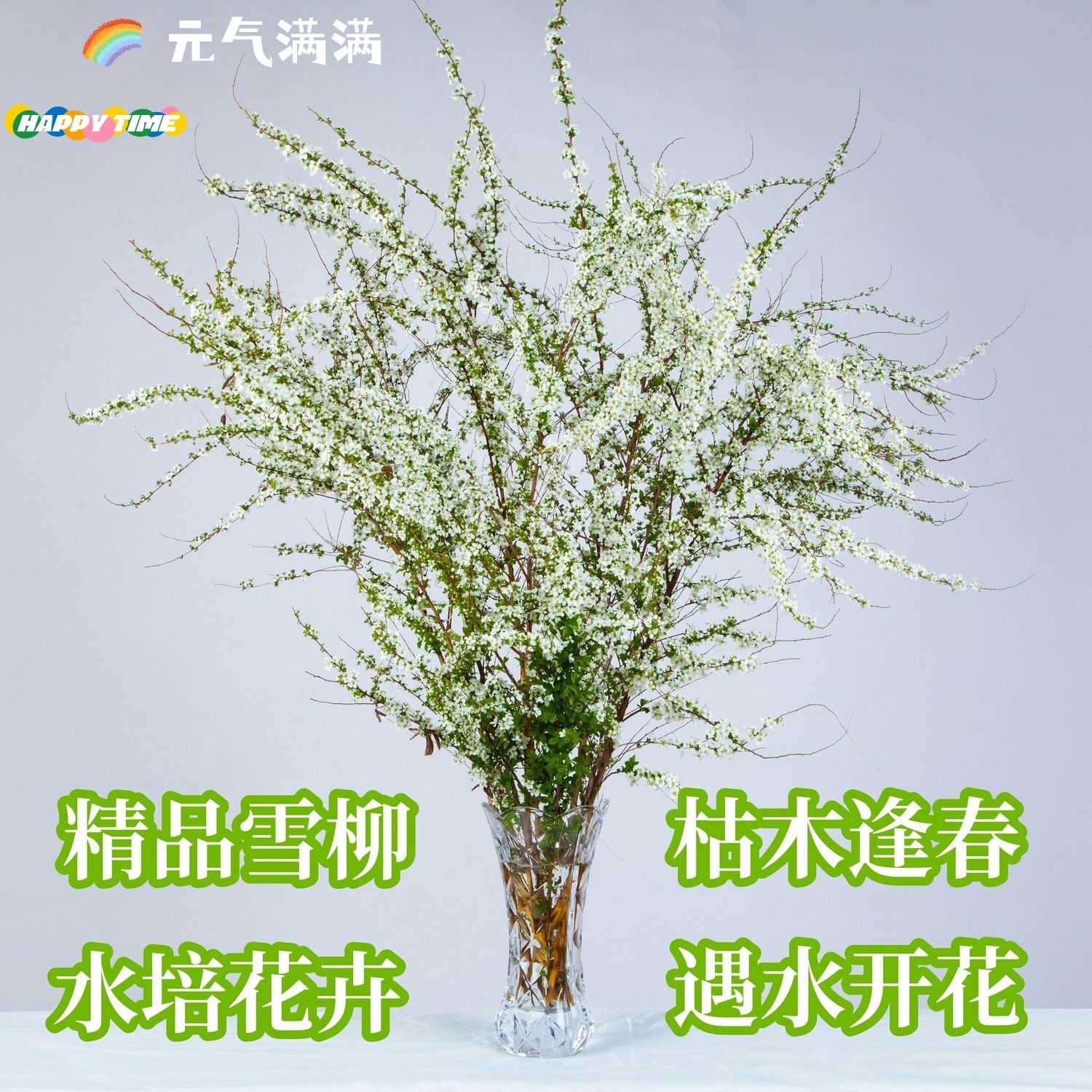 重瓣雪柳干枝支鲜枝水养插花水培植物鲜花卉室内盆栽绿植龙柳好活
