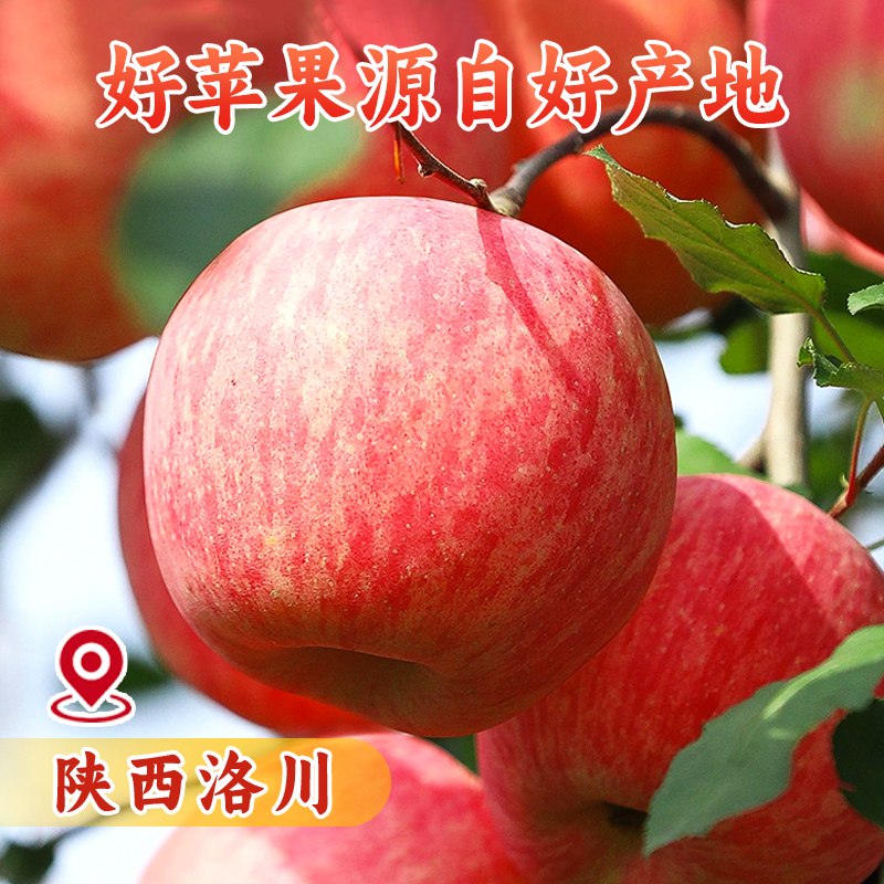 【良周•迹忆】陕西延安洛川红富士苹果5斤装 单果170g+