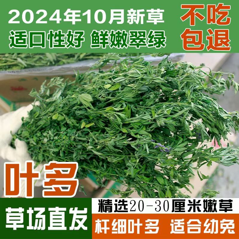 2025最新苜蓿草烘干营养丰富幼兔成长必备拆封不退不换