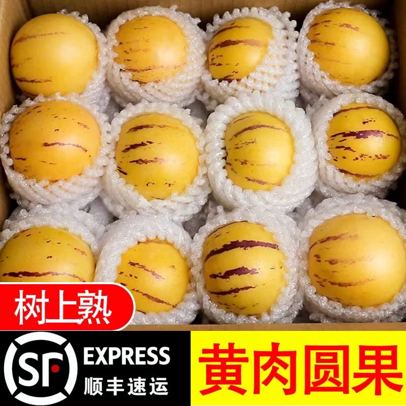 云南石林人参果黄肉圆果新鲜现摘应季水果树上熟超甜黄心大果批发