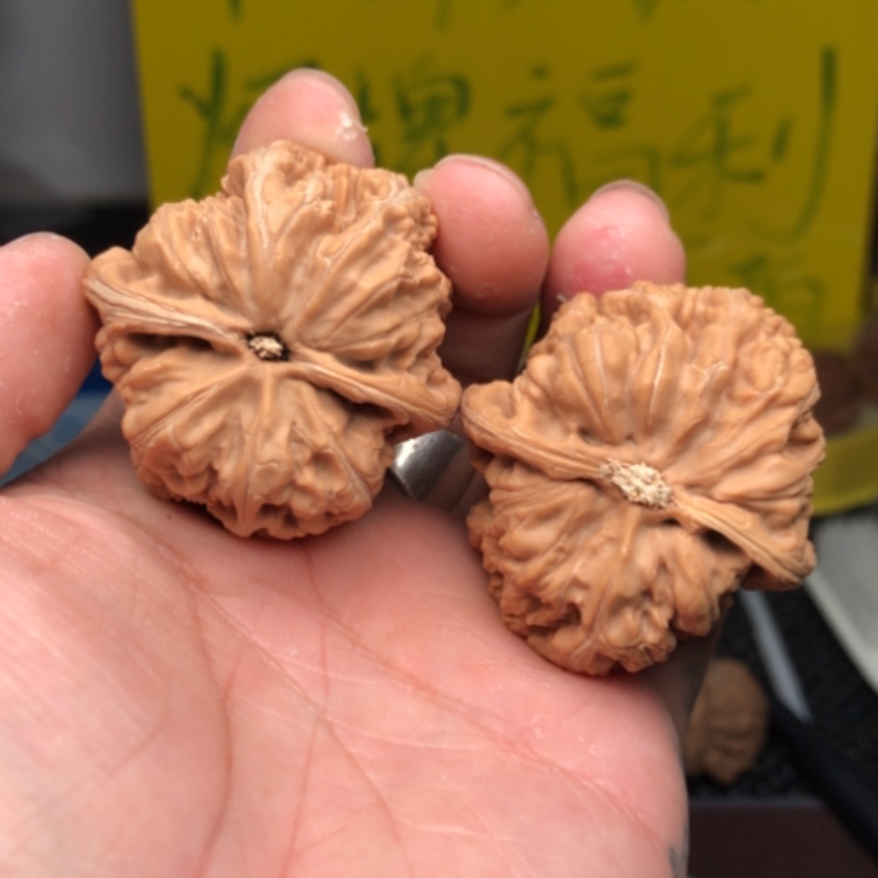 【闪购商品】文玩核桃吊坠讨***马