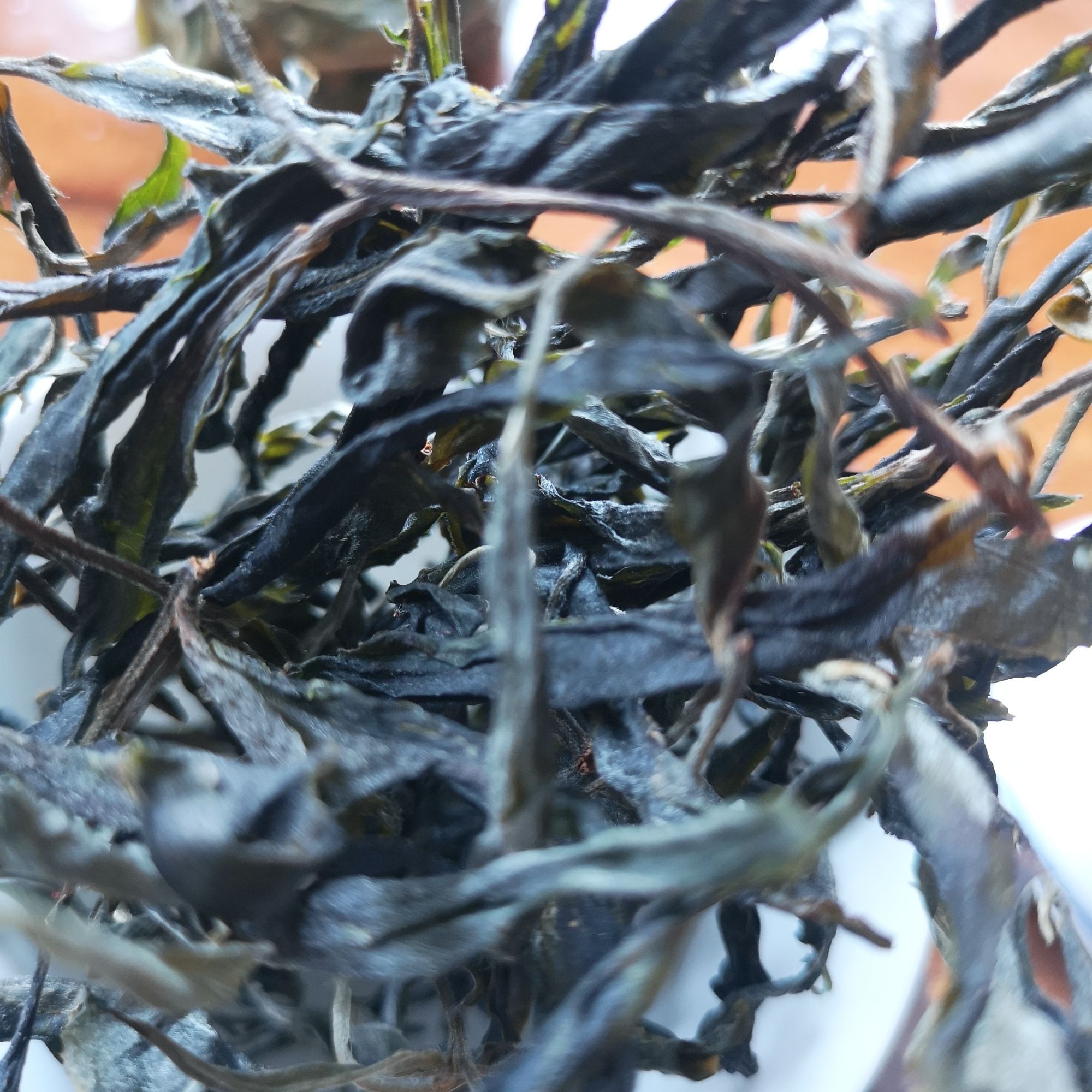 2023年 那罕贡茶单株100克散茶