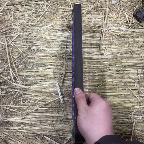 【闪购商品】紫SP 创意礼品