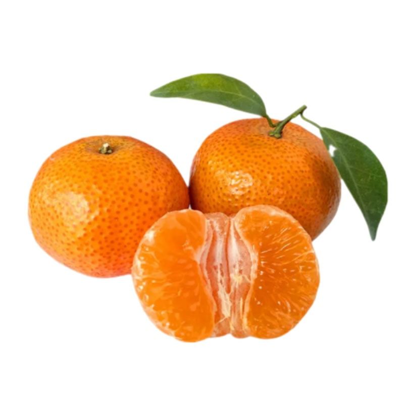砂糖橘 约500g/份