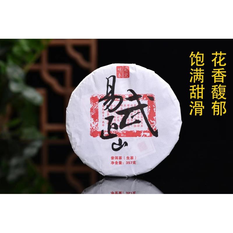 2021年易武正山明前春尖普洱生茶357g