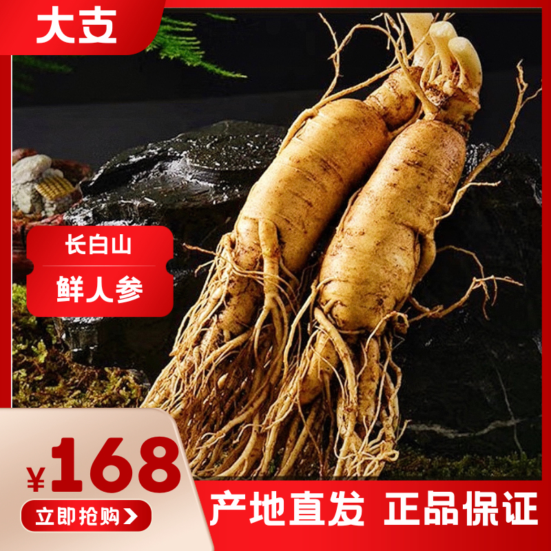5号【2支装泡酒送礼】长白山原产地2支大精品鲜人参泡酒送礼炖汤