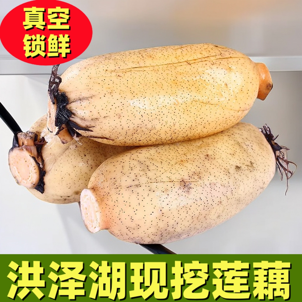 洪泽湖粉藕特产莲藕煲汤炖汤炒菜脆嫩新鲜糖藕糯米藕九孔莲藕现挖